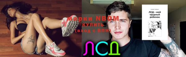 Альфа ПВП Елизово